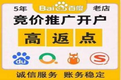 百度广告推广案例费用分析报告